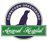 Downtown Greensboro Animal Hospital